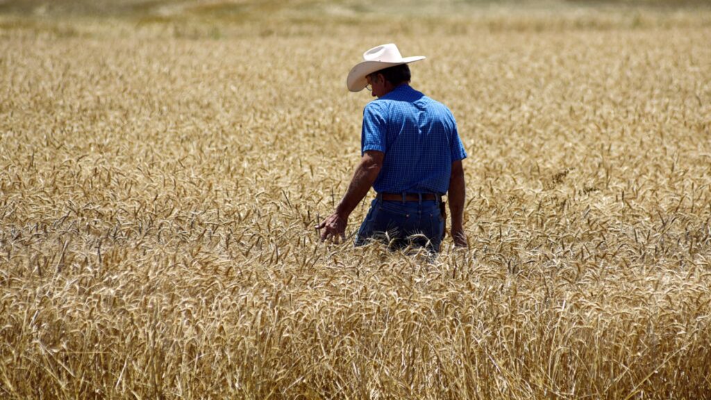 From Super El Niño to Europe’s heatwave: How to trade extreme weather